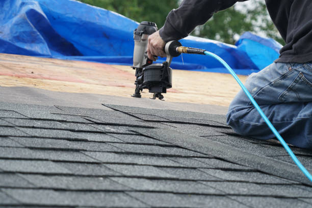 Best Storm Damage Roof Repair  in Princevle, IL